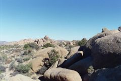 Joshua Tree rocks