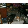 1st memory card 009.JPG